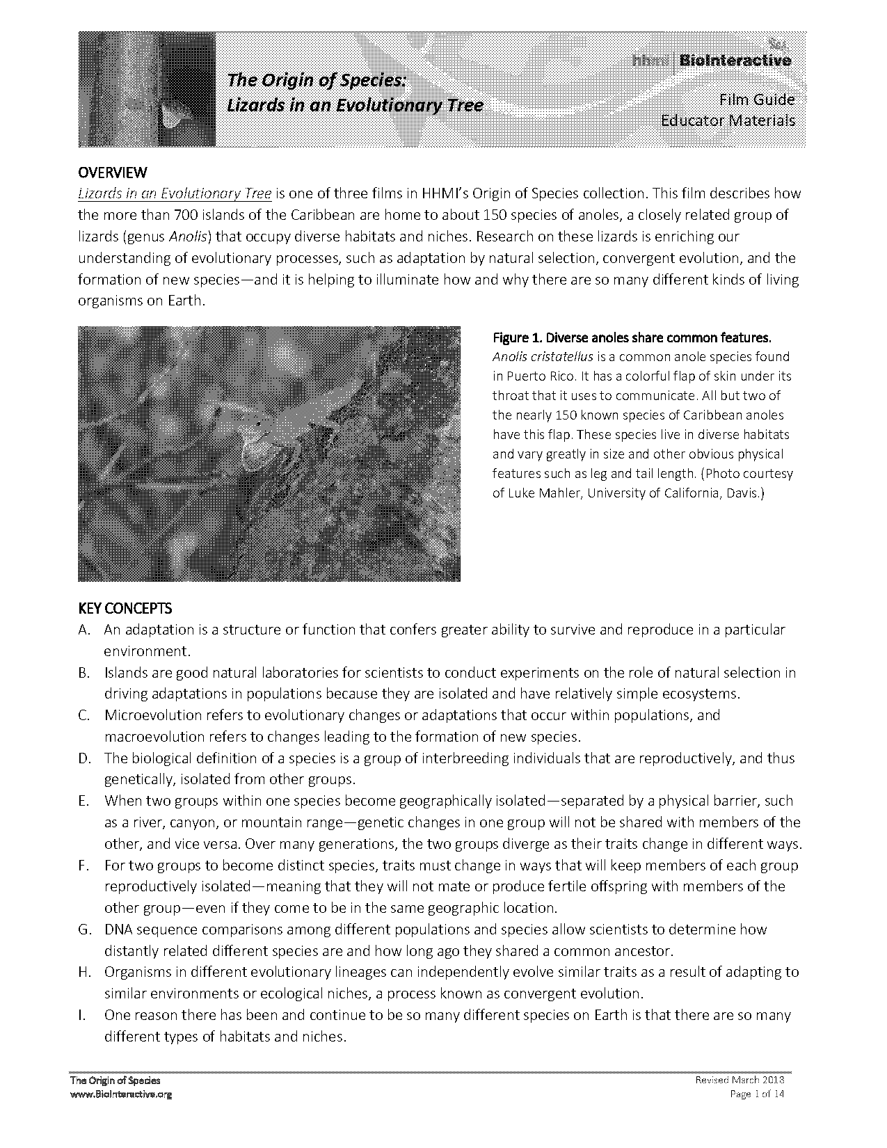 selection and speciation worksheet answers