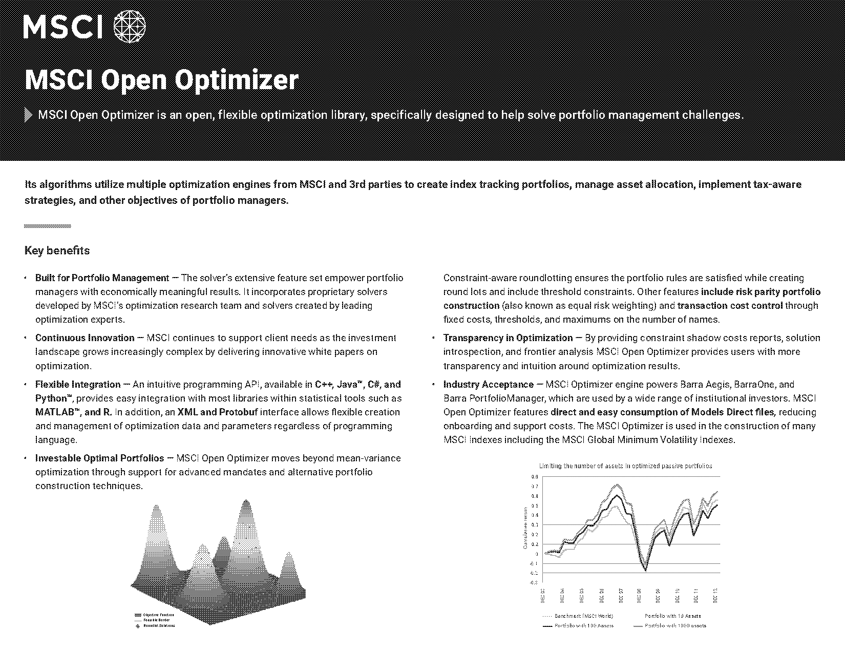 barra optimizer user guide