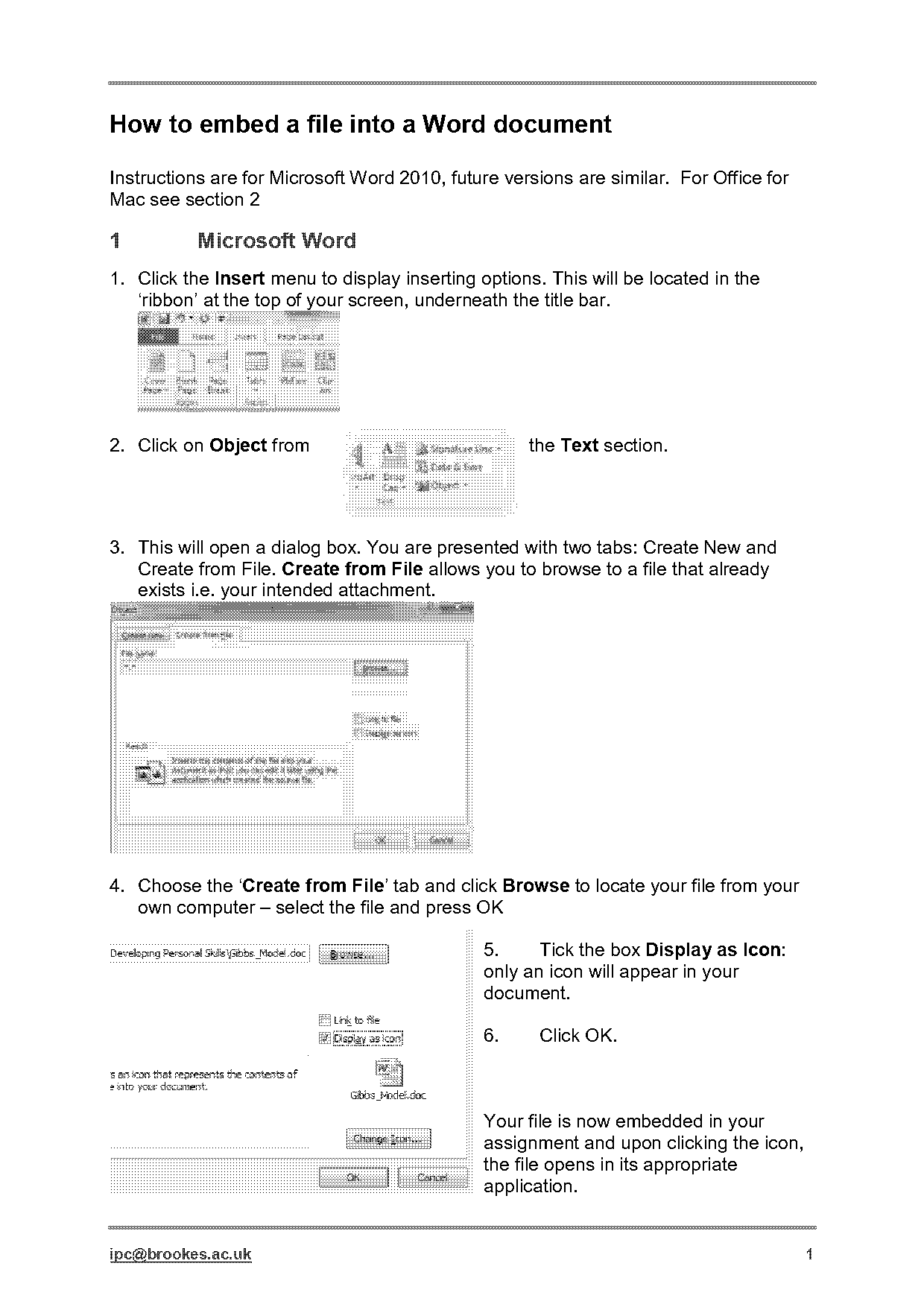 excel how to embed document