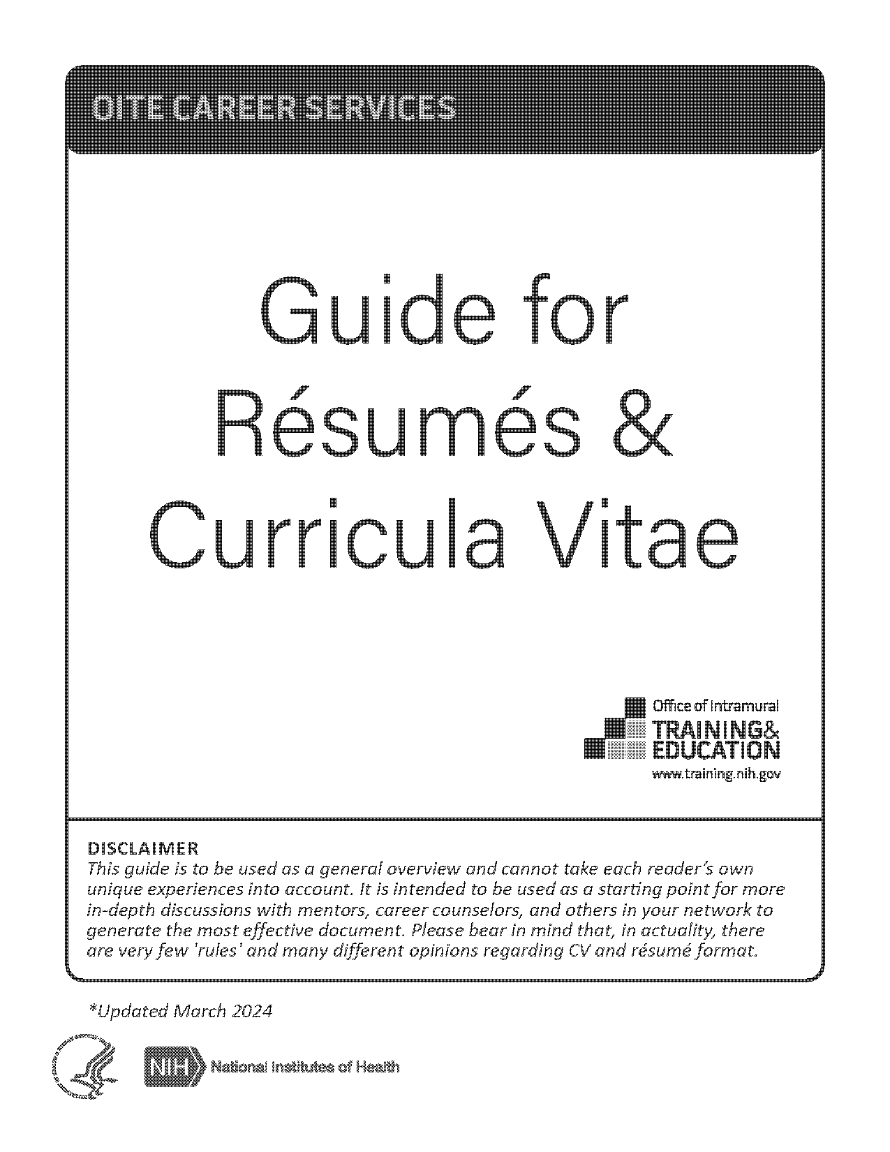 curriculum vitae word document template