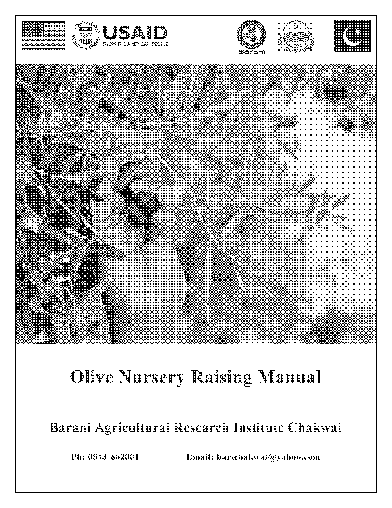 asexual propagation nursery establishment and management cacao pdf