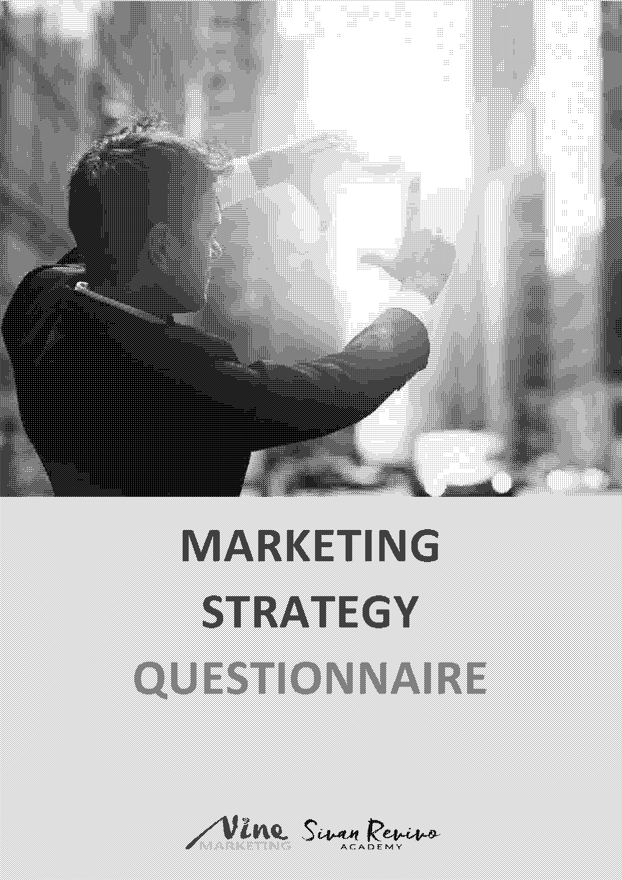 marketing strategy sample questionnaire