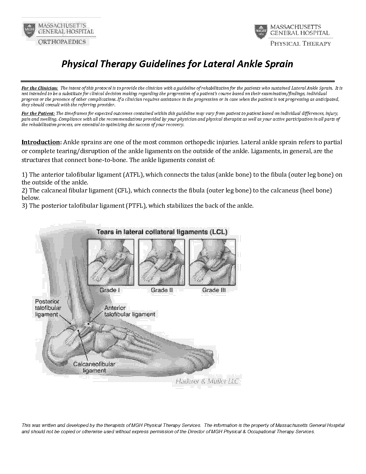 ankle injury physiotherapy protocol