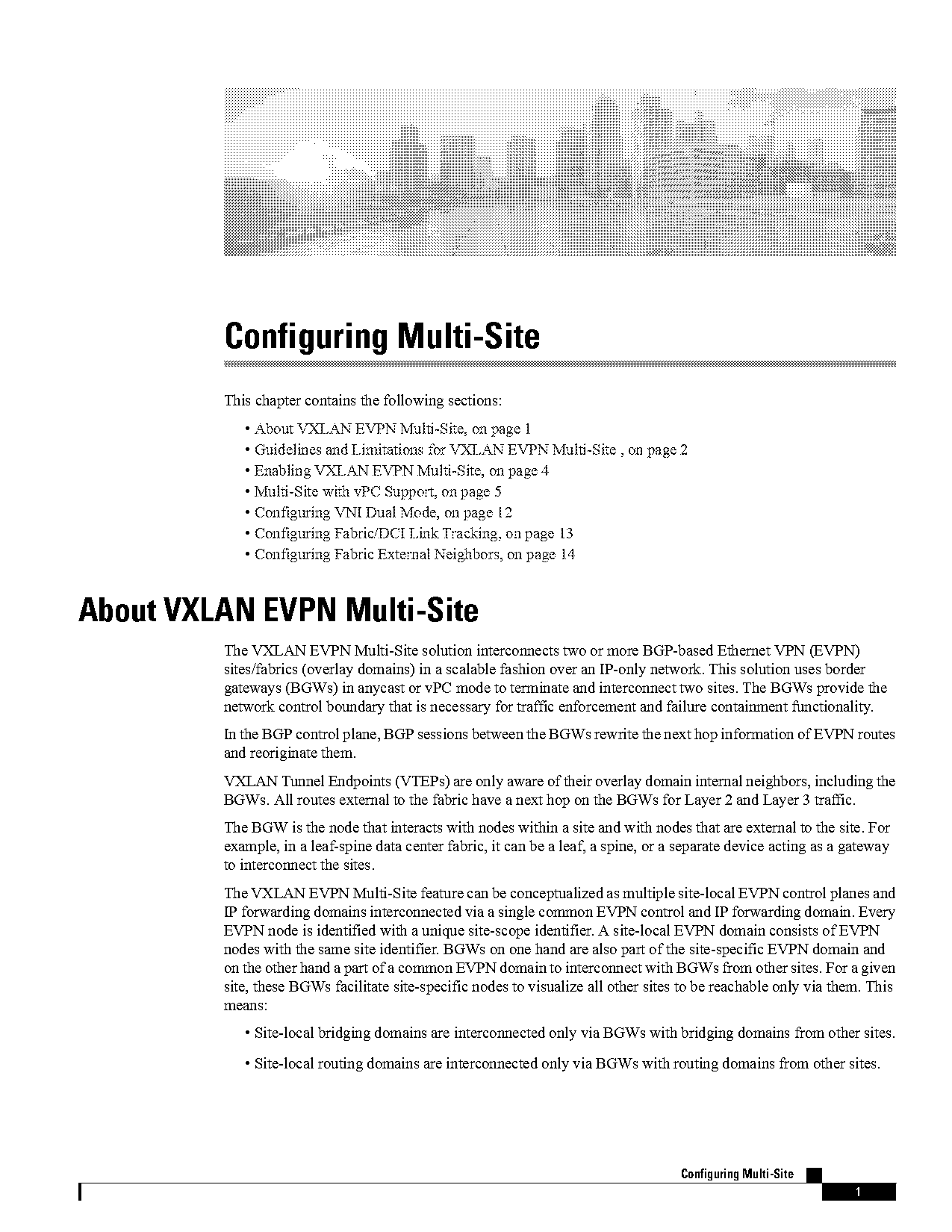 border gateway multicast protocol