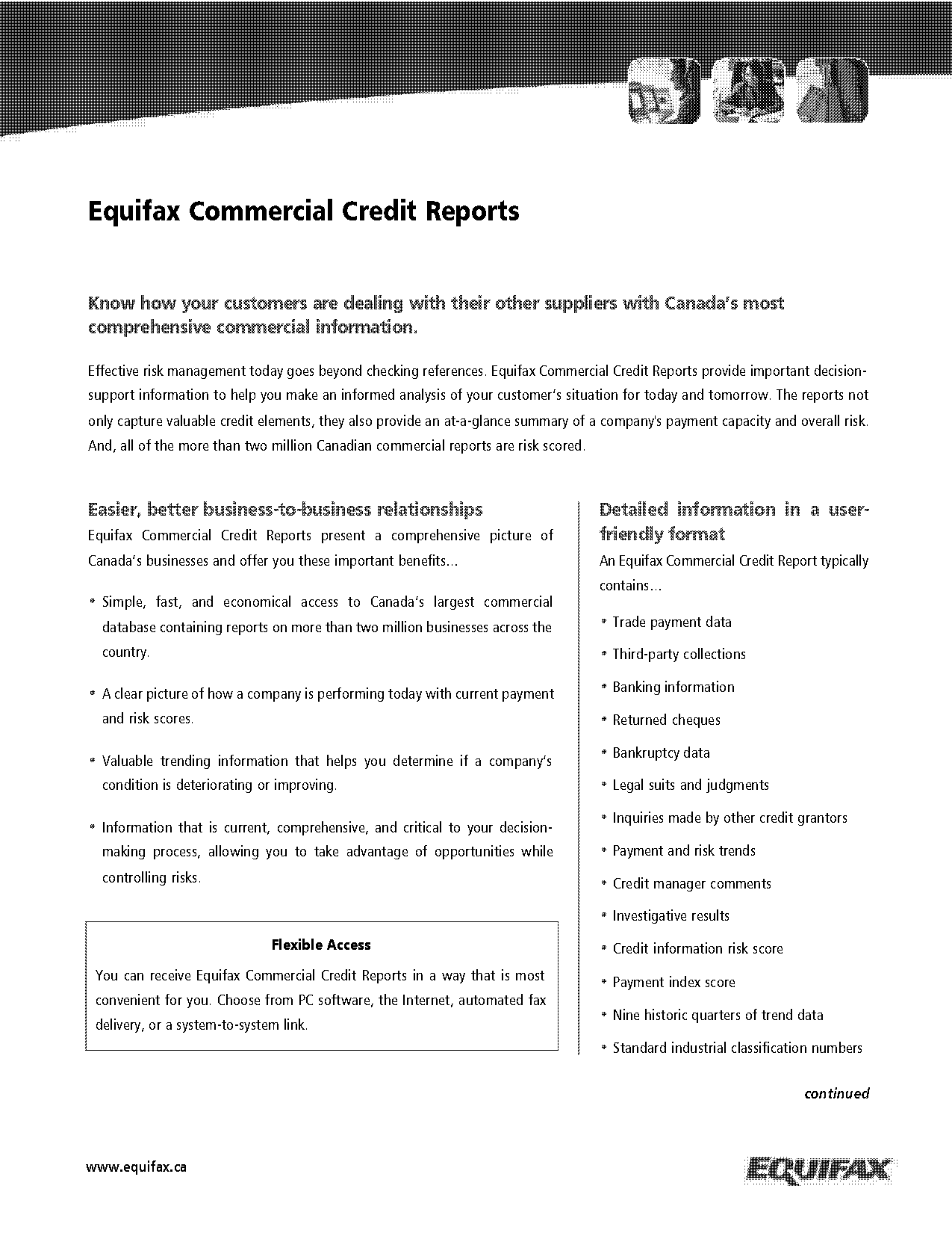 equifax commercial credit report sample