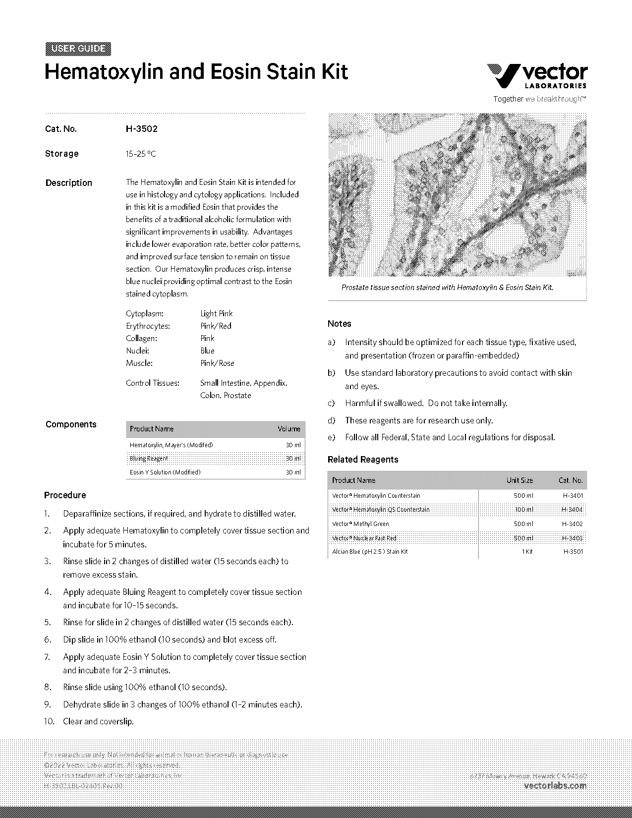 h and e staining protocol frozen section