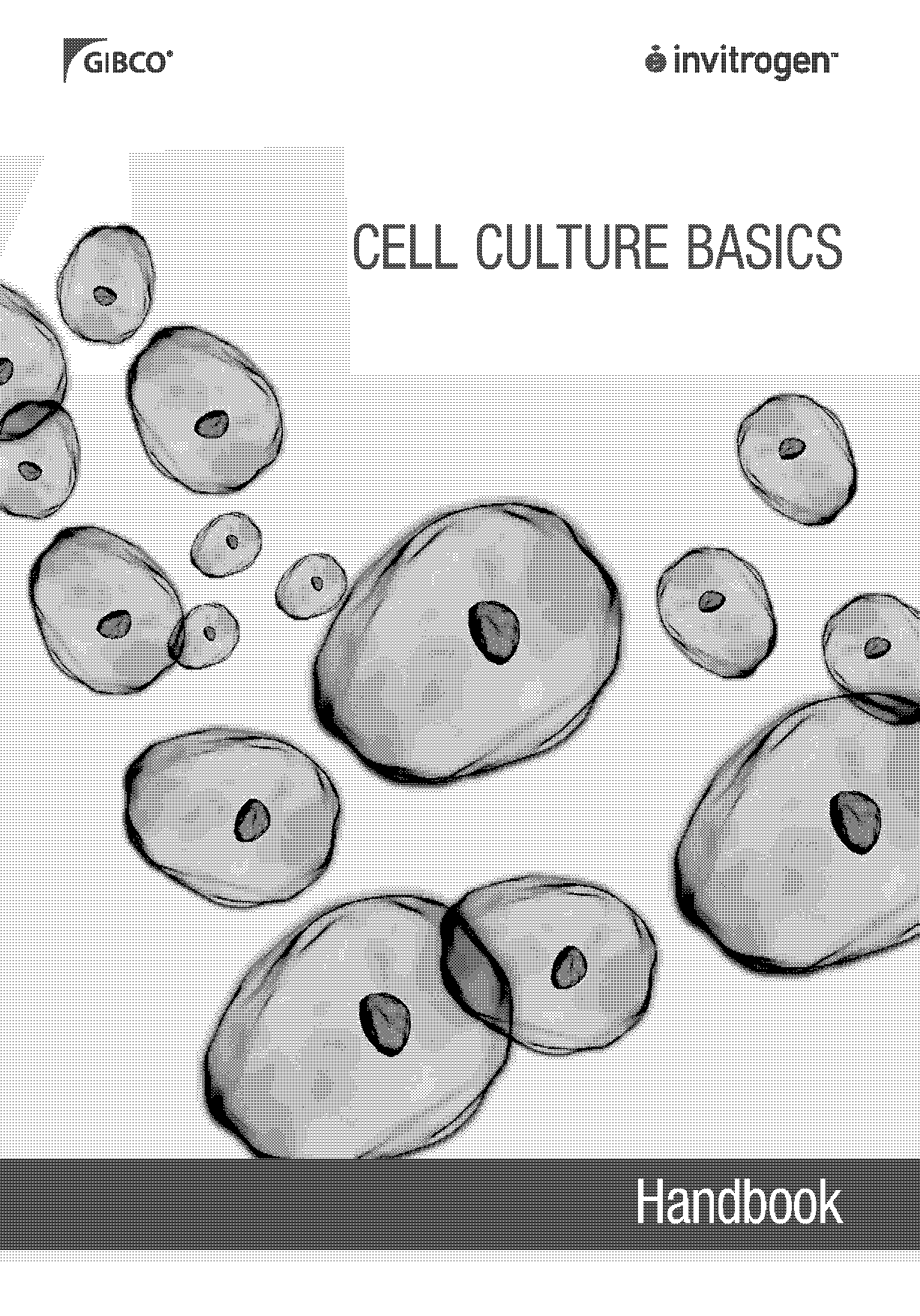 differentiate bsc and msc protocols