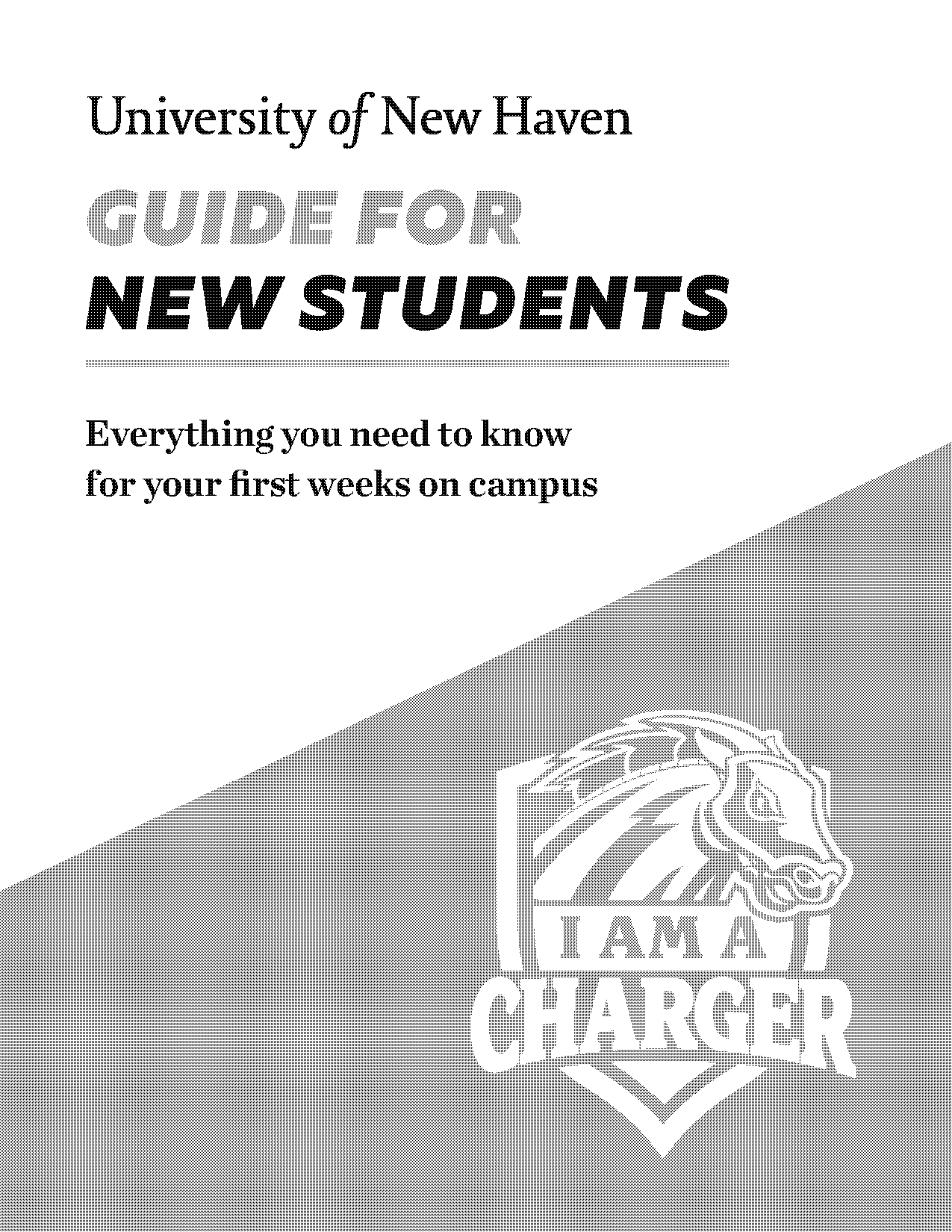 univeristy of new haven student handbook